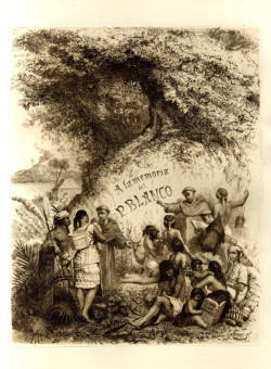 Lámina Flora de Filipinas, de M. Blanco