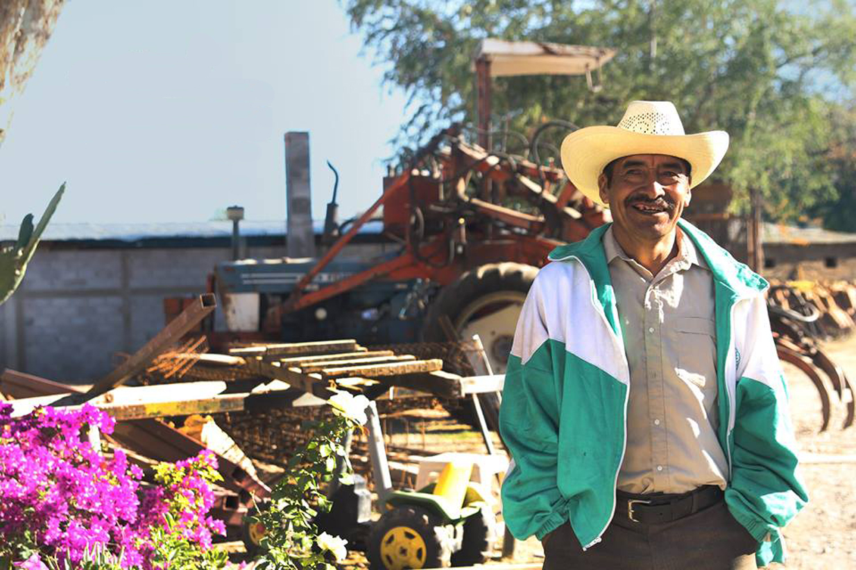 El ltimo trapiche