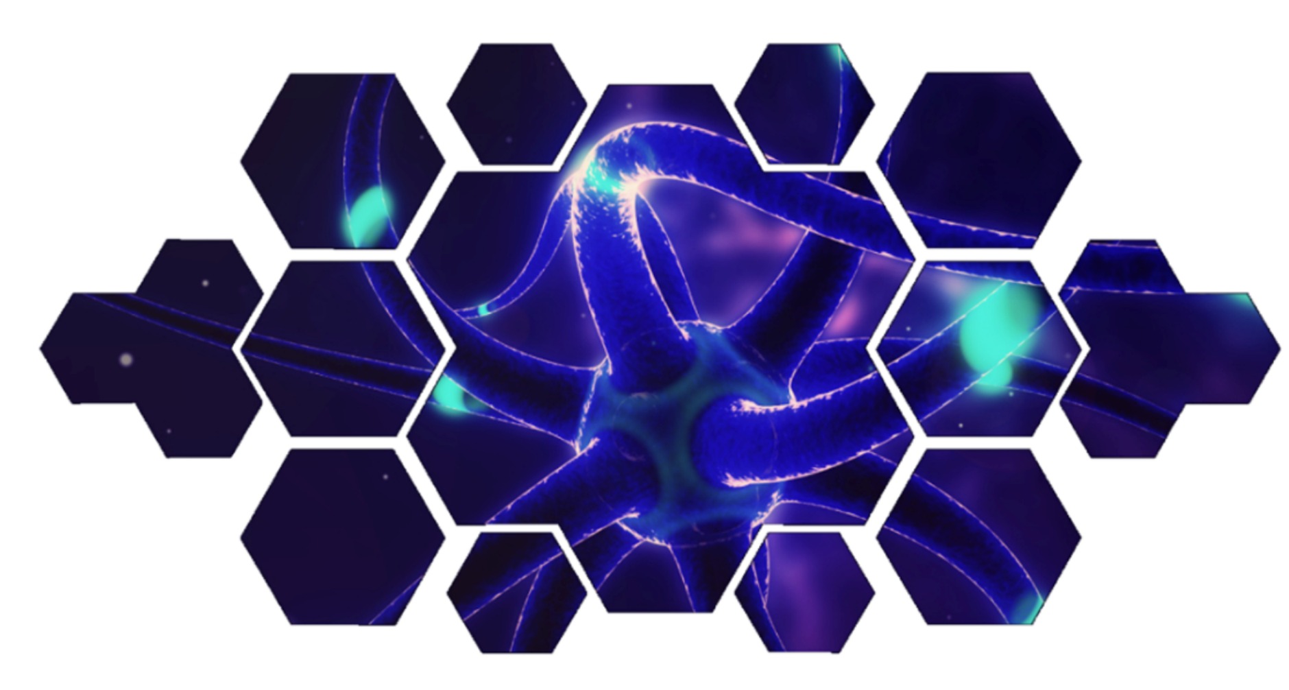 Convocatoria de textos y proyectos artsticos Arte y nuevos medios en Amrica Latina