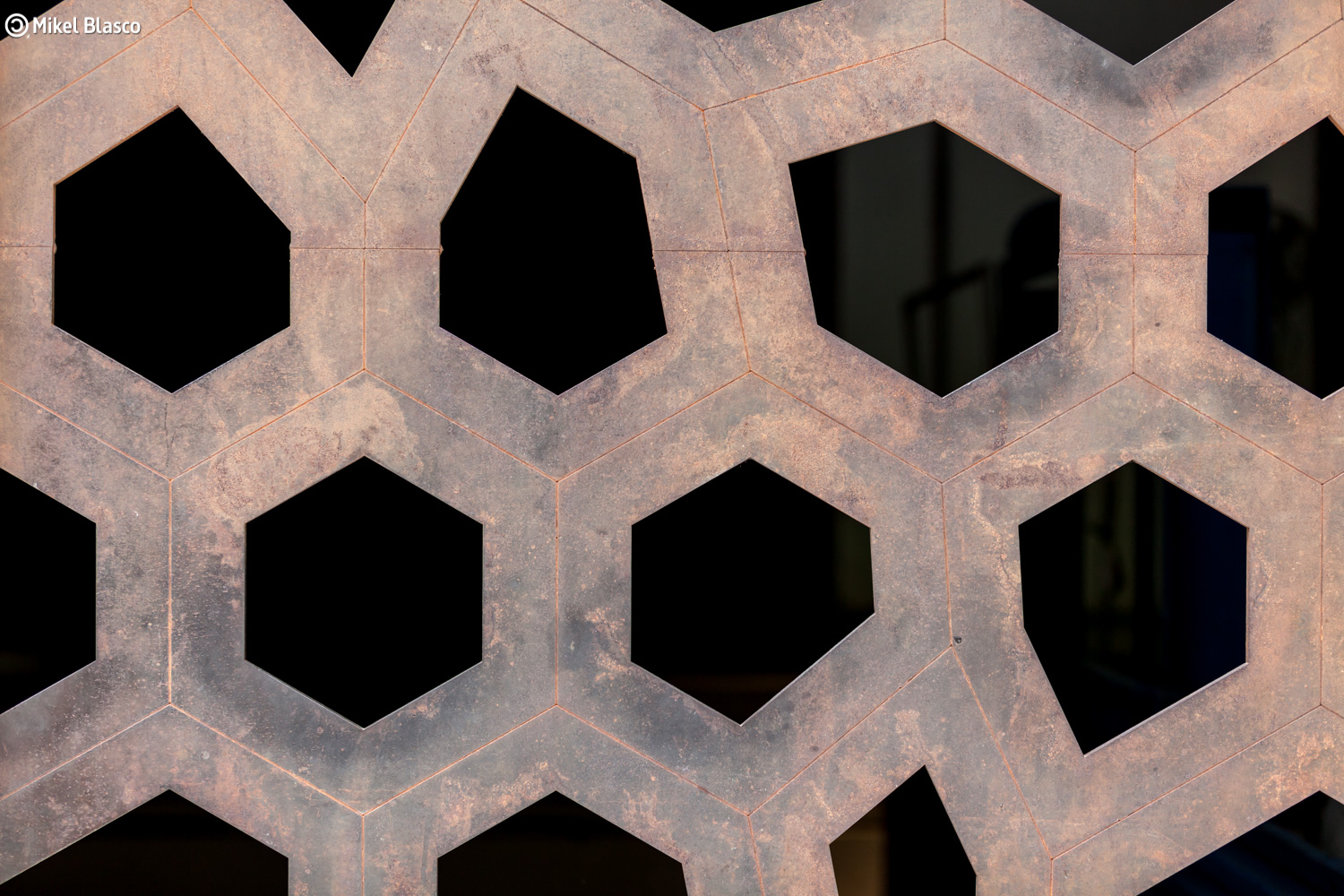 Becas Ibermuseos de Capacitacin y otros proyectos