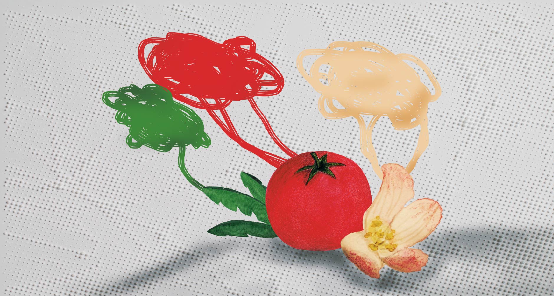 Colores de la tierra