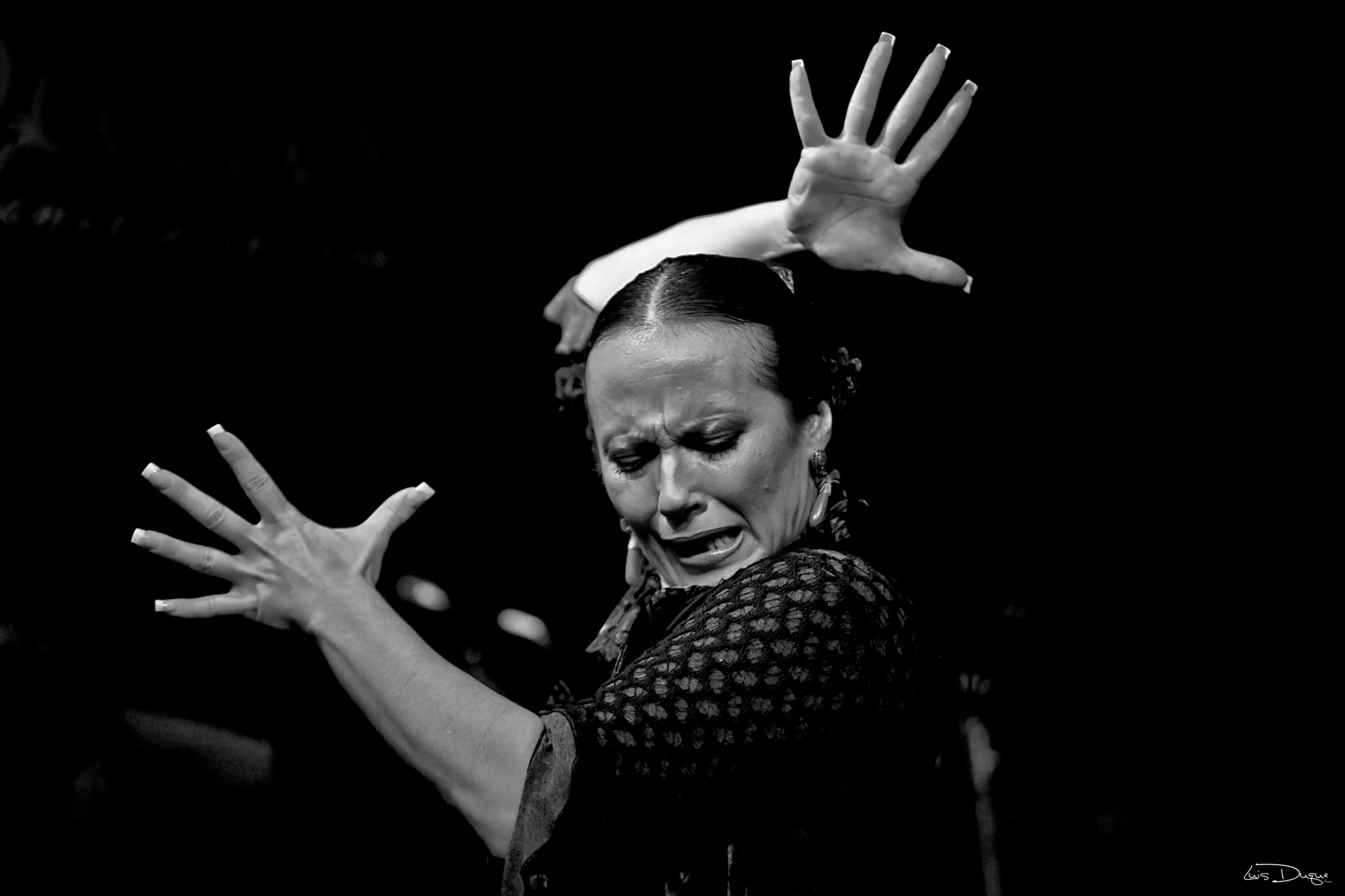 I Jornadas Internacionales de Baile Flamenco