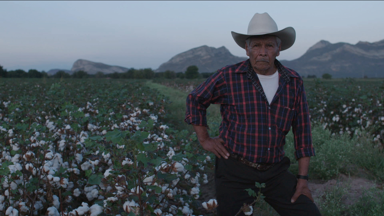 A morir a los desiertos De papas y amor