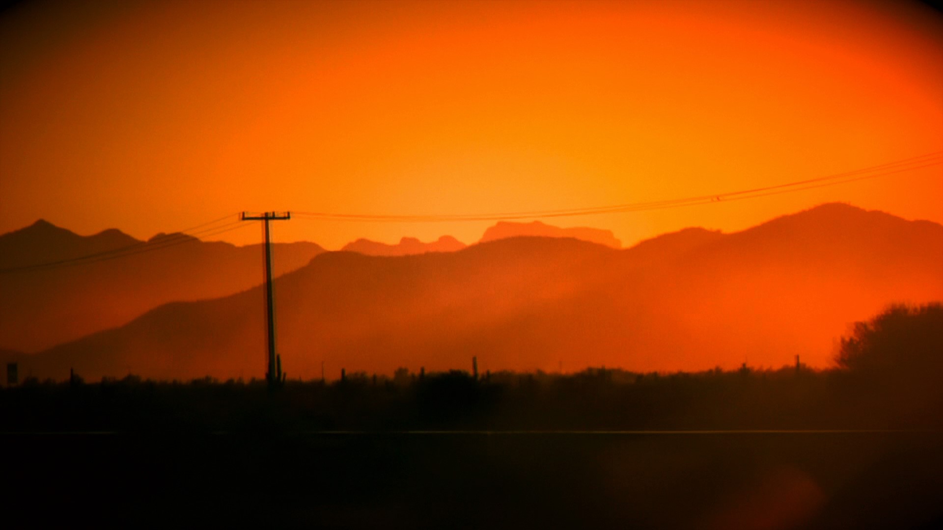 TallerLos Desiertos de Sonora
