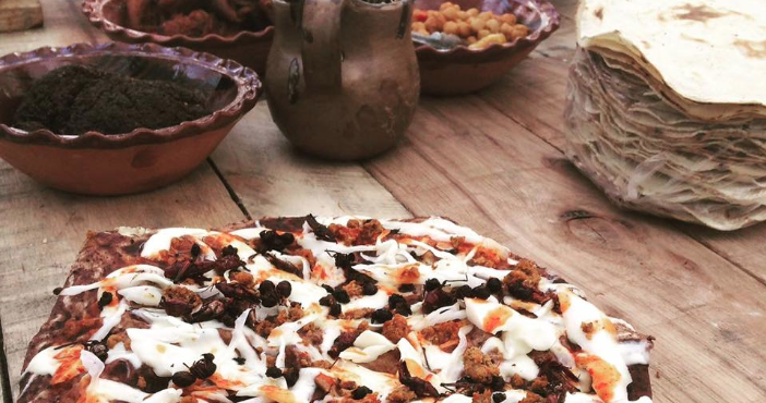 Viejos nuevos ingredientes taller sobre entomofagia contempornea presentado por Comilona