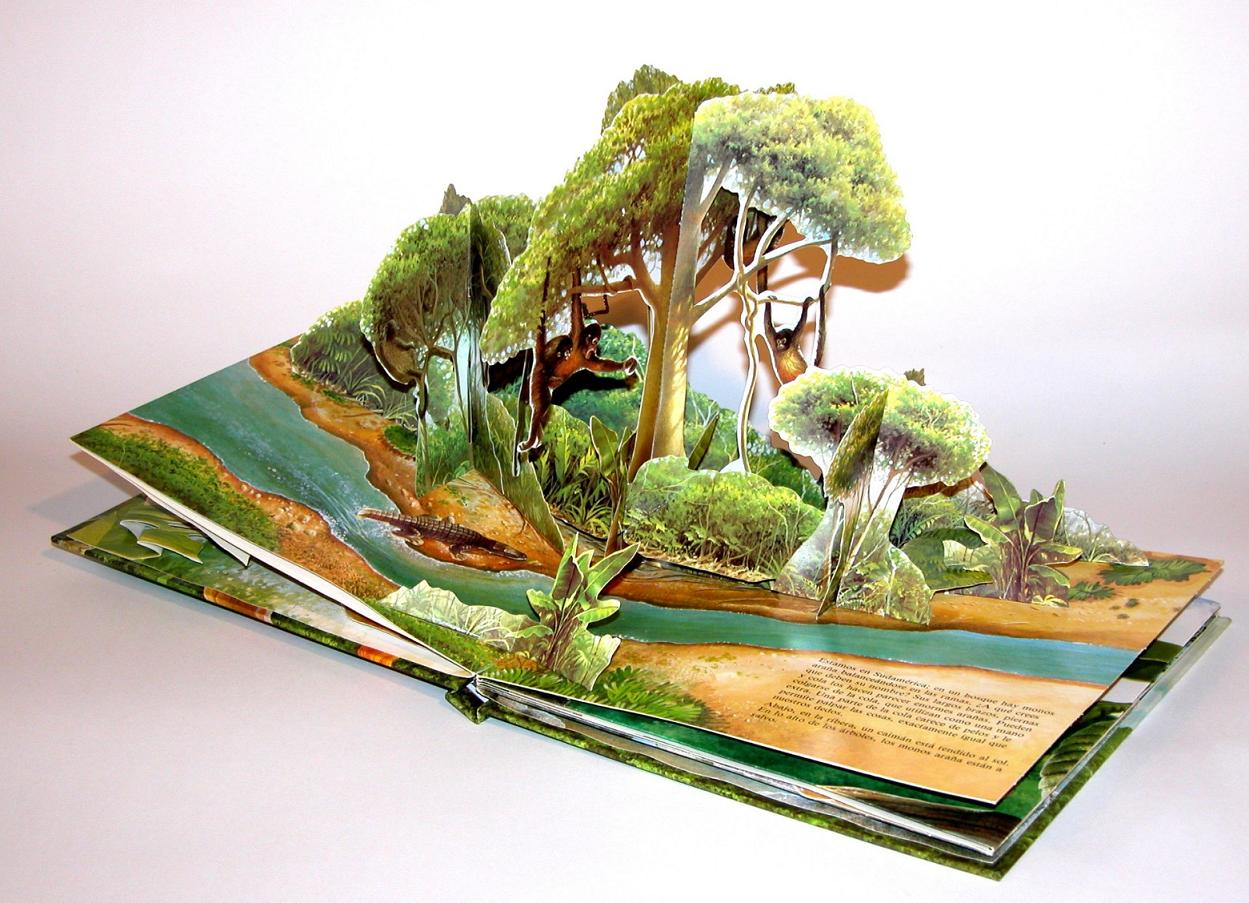 Libros popup en Tepoztln