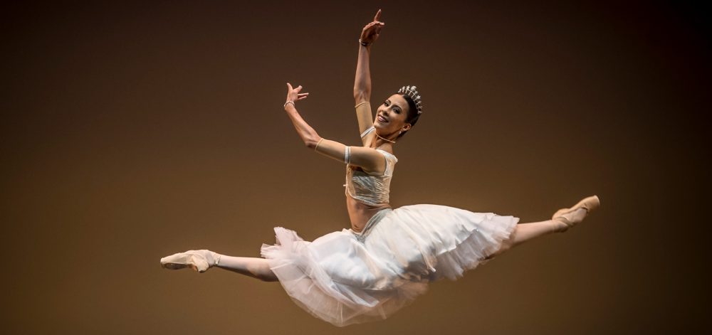 El arte de la crtica de ballet