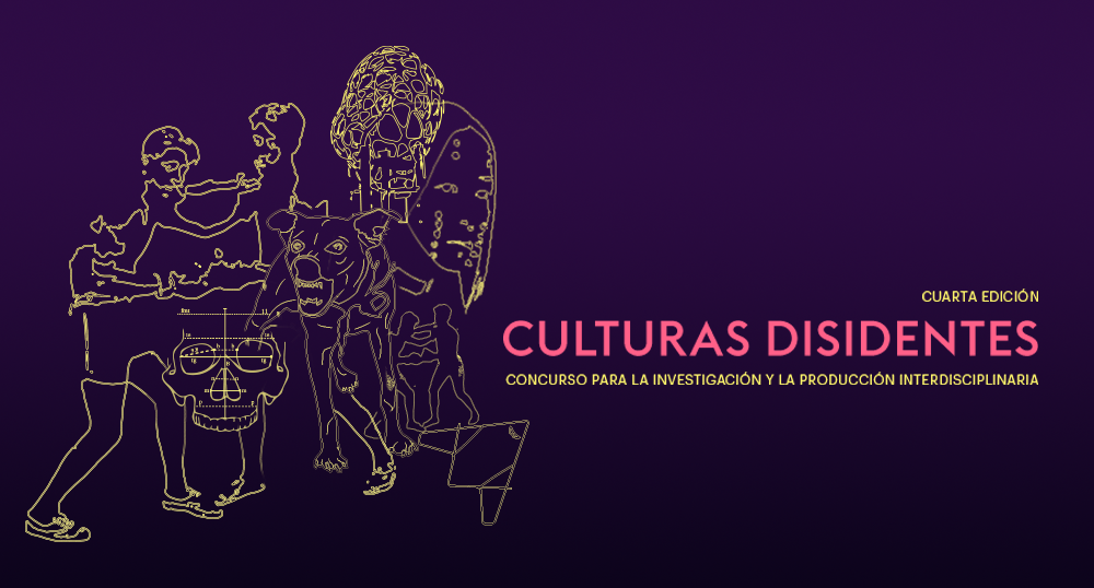 Culturas disidentes 4 edicin