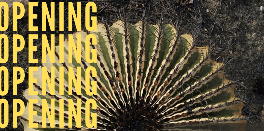 Nepantla de Miguel Ezquerro Es