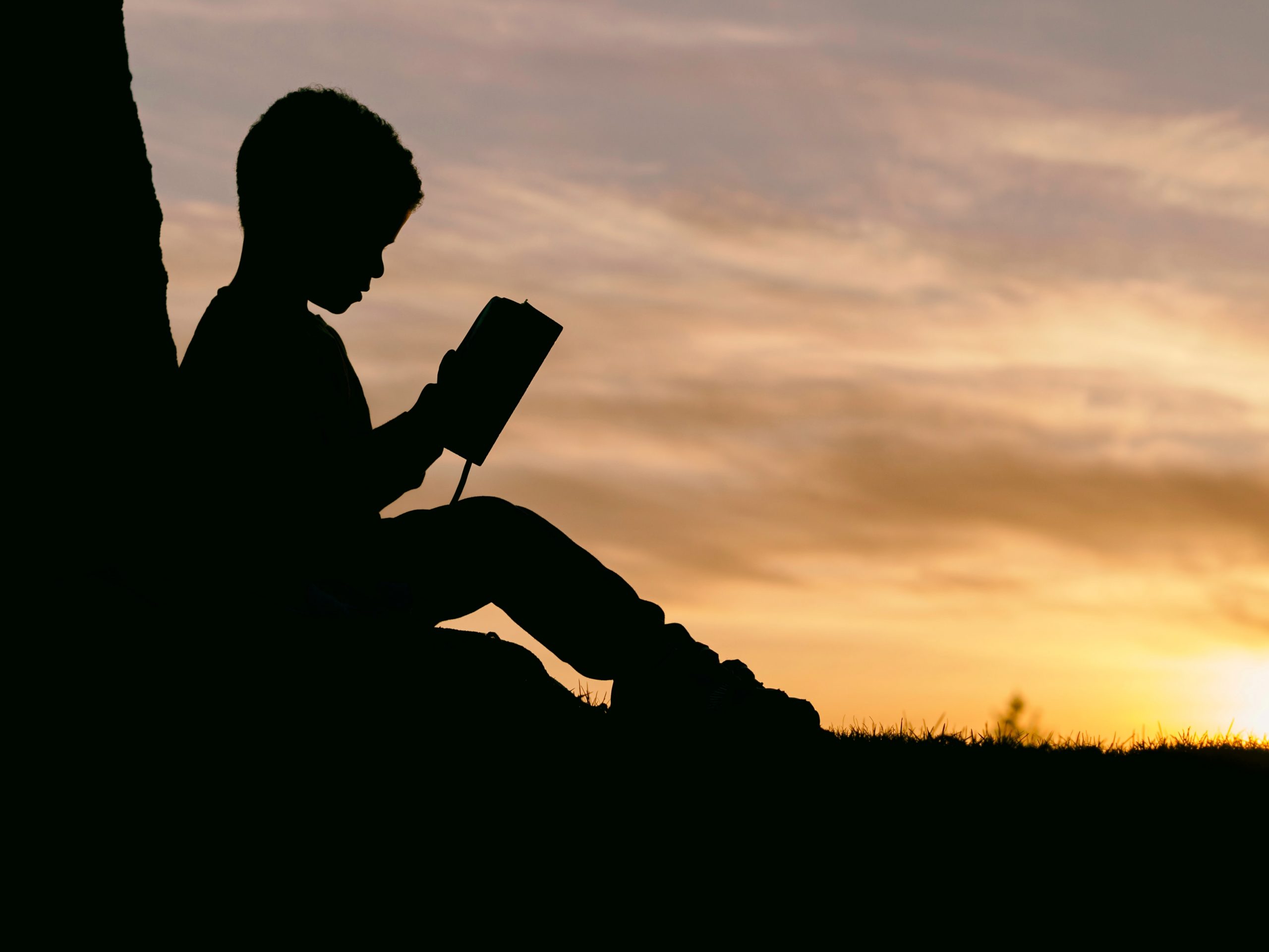 Cpsulas libros y autores