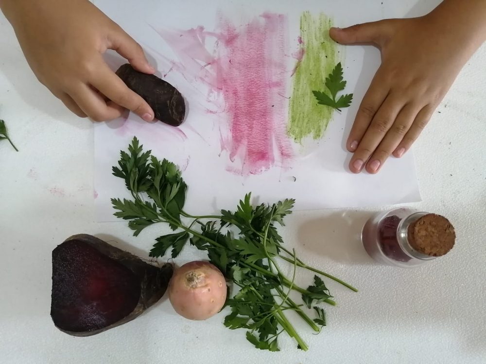 Usemos colores vegetales