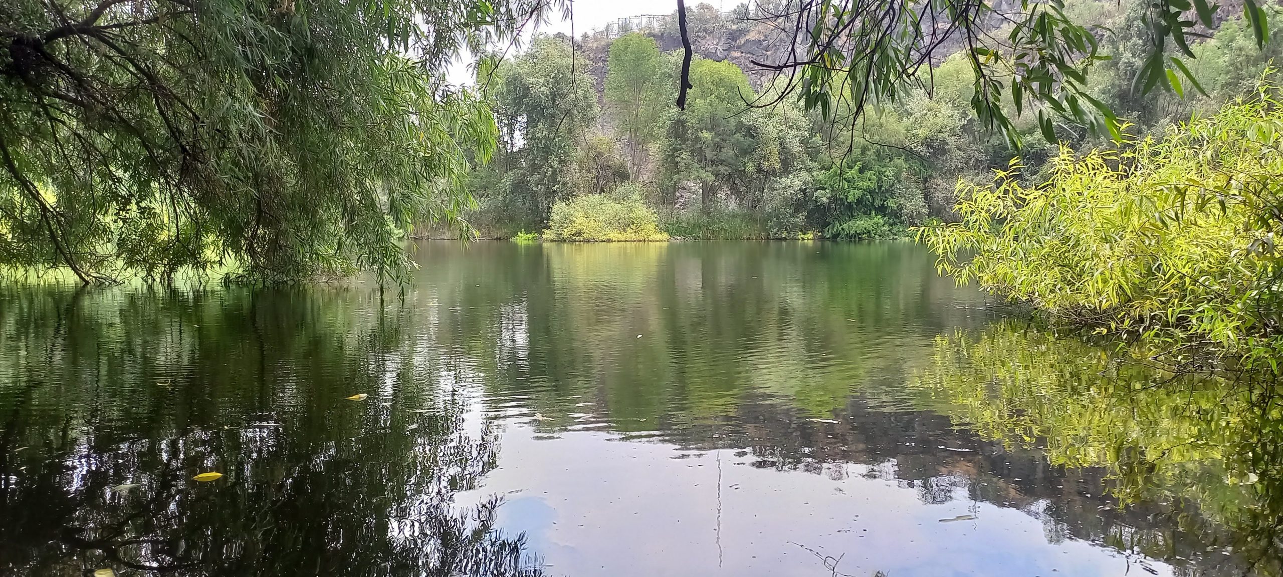 Espacios de resistencia Catlogo inexacto de la naturaleza en los bordes de una ciudad