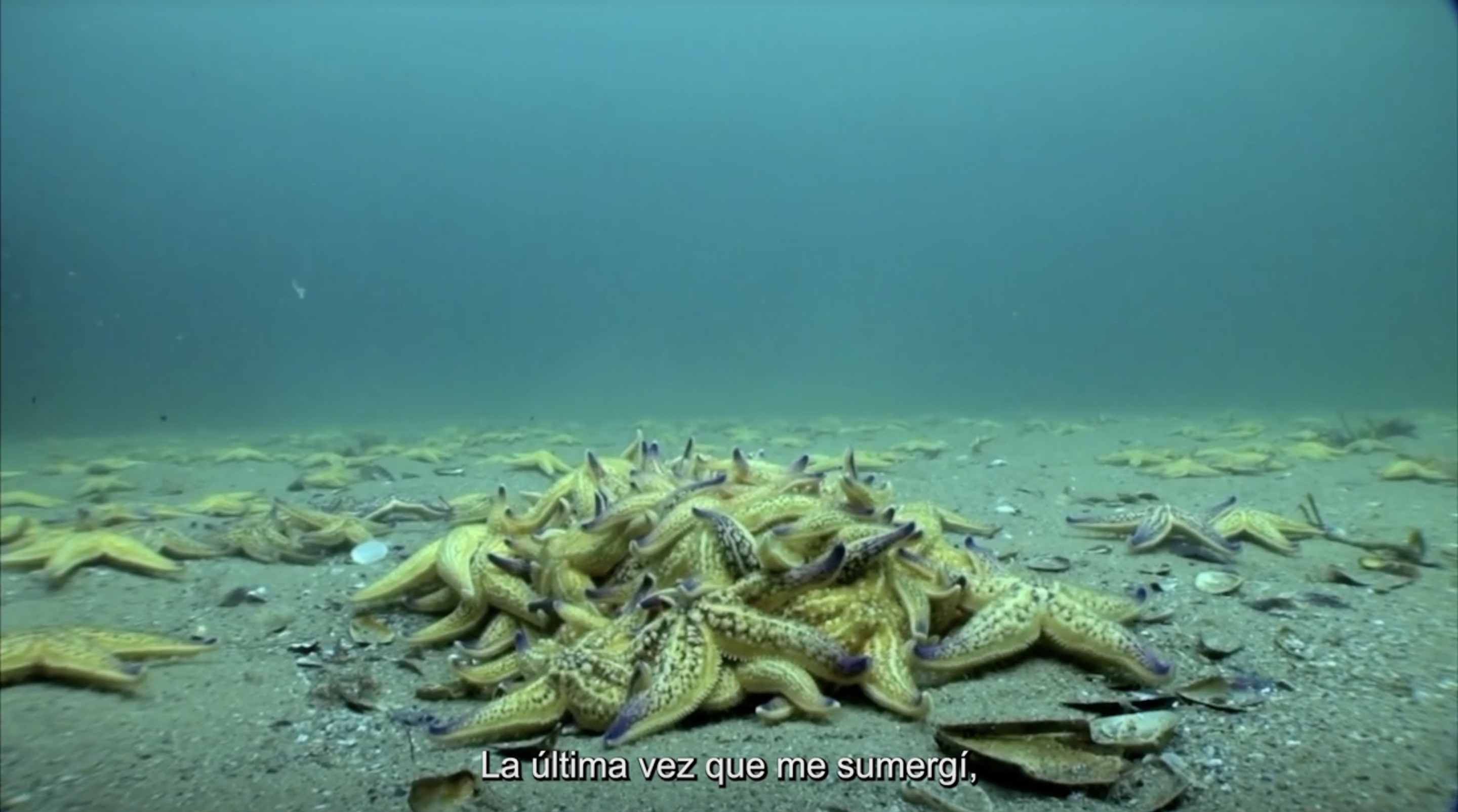 Qu buscas conseguir cuando haces una foto o escribes sobre algo que ha ocurrido