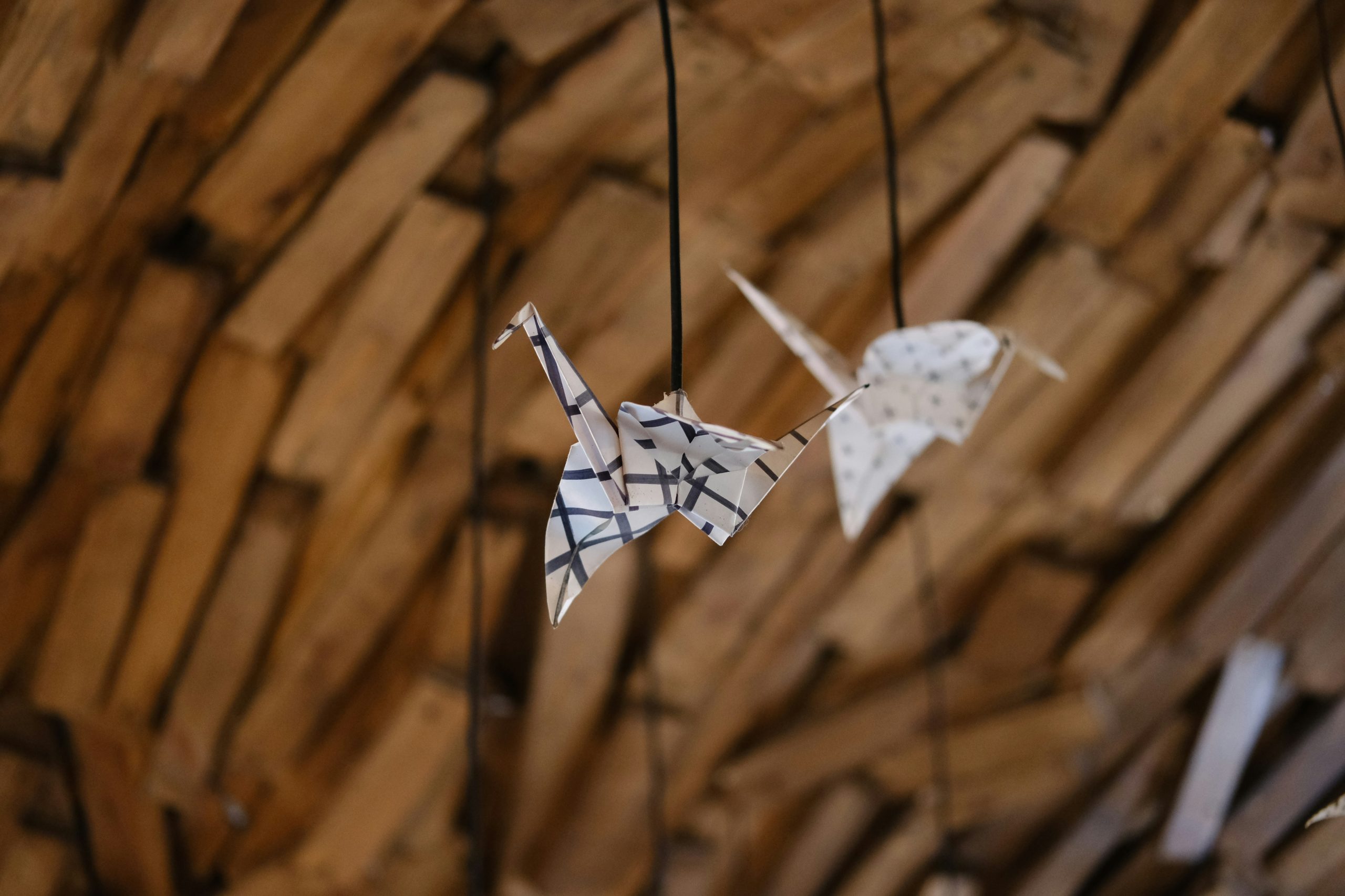 Aves de papel y cielo