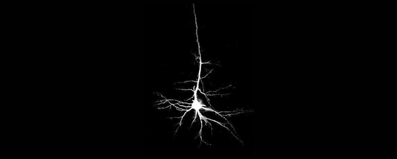 El da de Santiago Ramn y Cajal en Puebla