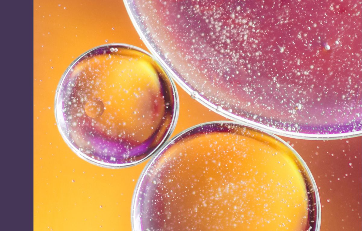 Del sol a los antioxidantes