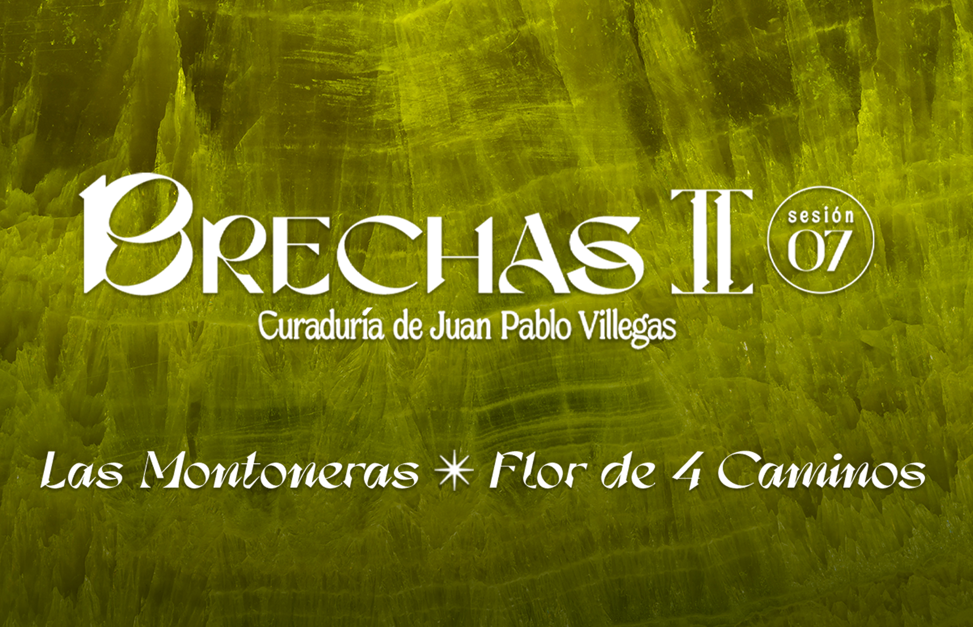 Brechas II_07: Las Montoneras  + Flor de 4 Caminos