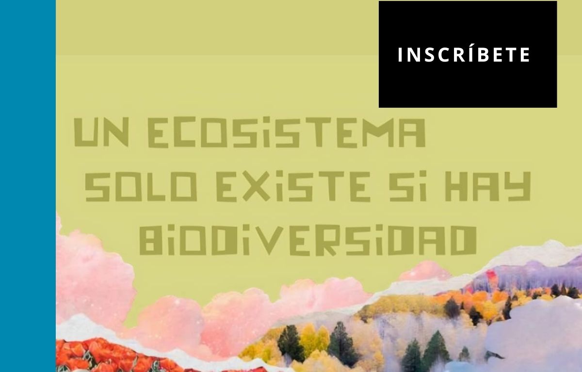 Territorio, cuidados y exhibición cinematográfica