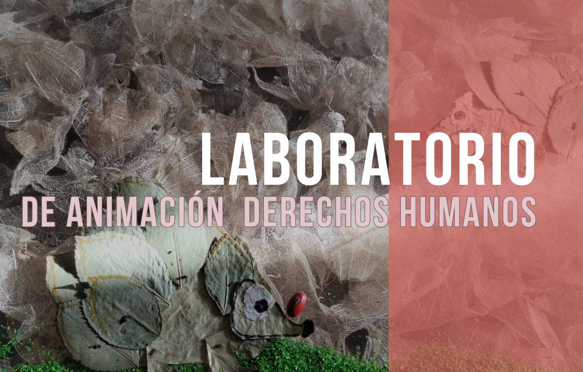 Laboratorio de animación y derechos humanos