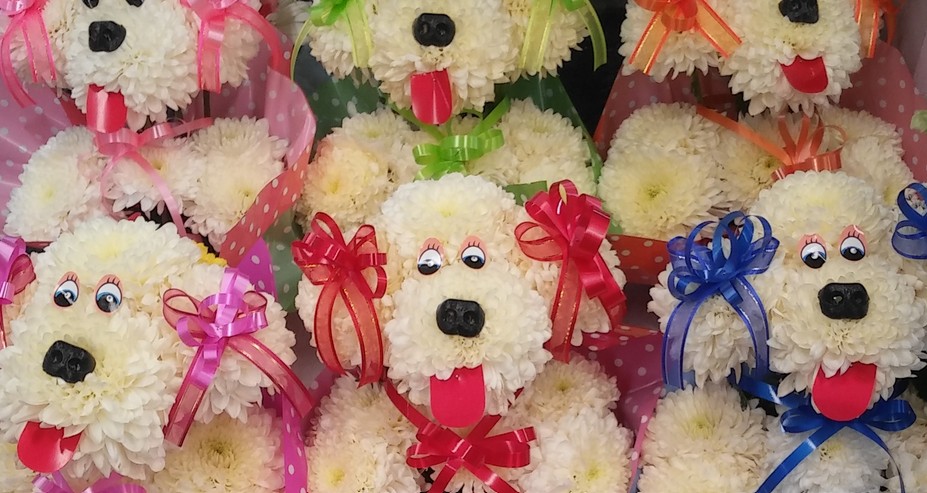 Perritos de peluche