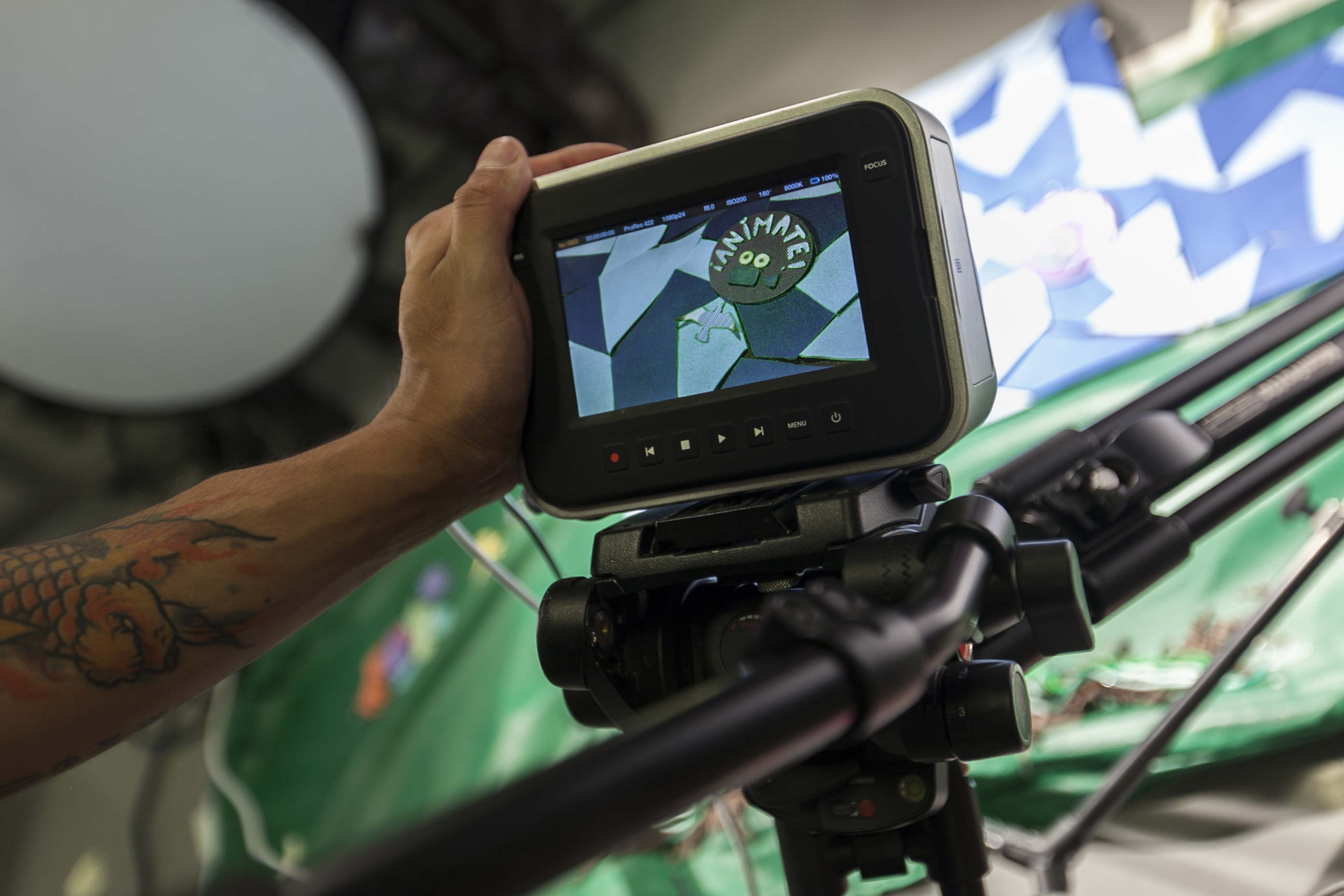 Anmate en UVM Texcoco