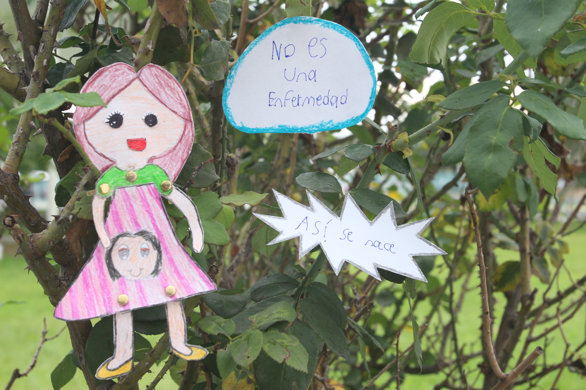 Anmate Encuentro de cortometrajes en Jalisco