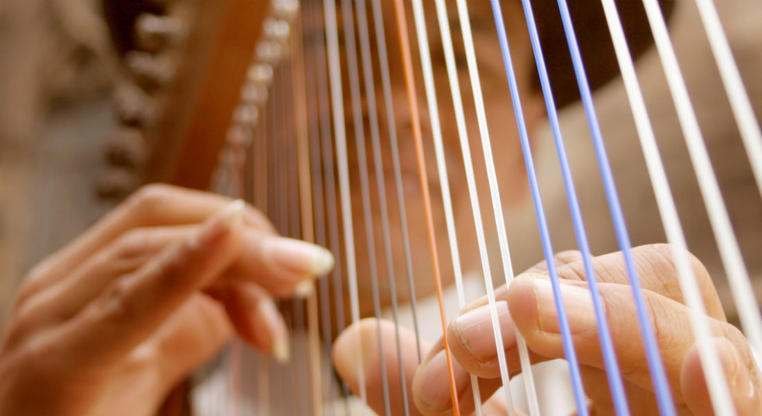 Huastecos en la Ciudad Arpa de Mxico