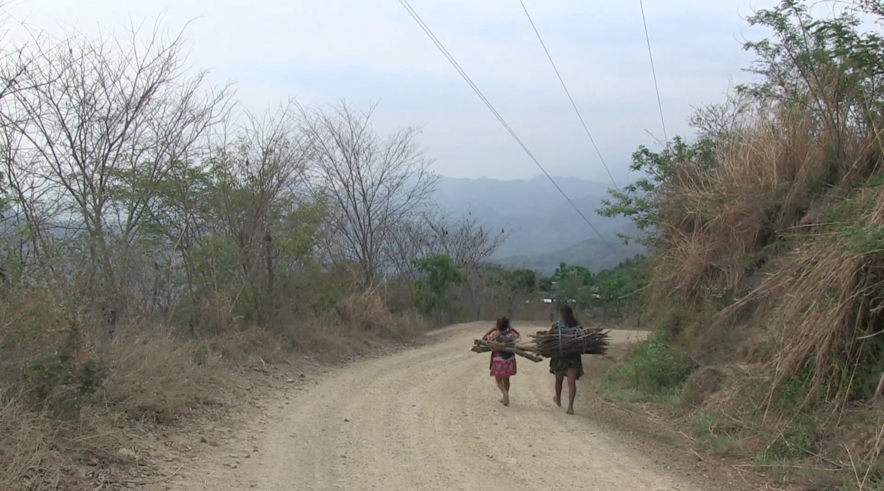 Sinfona de un mar triste Siempre andamos caminando El prximo guardin
