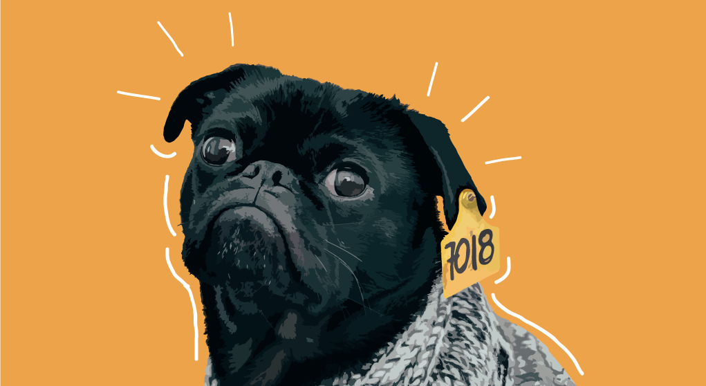 Te comeras a tu perro Charla con Liliana Felipe