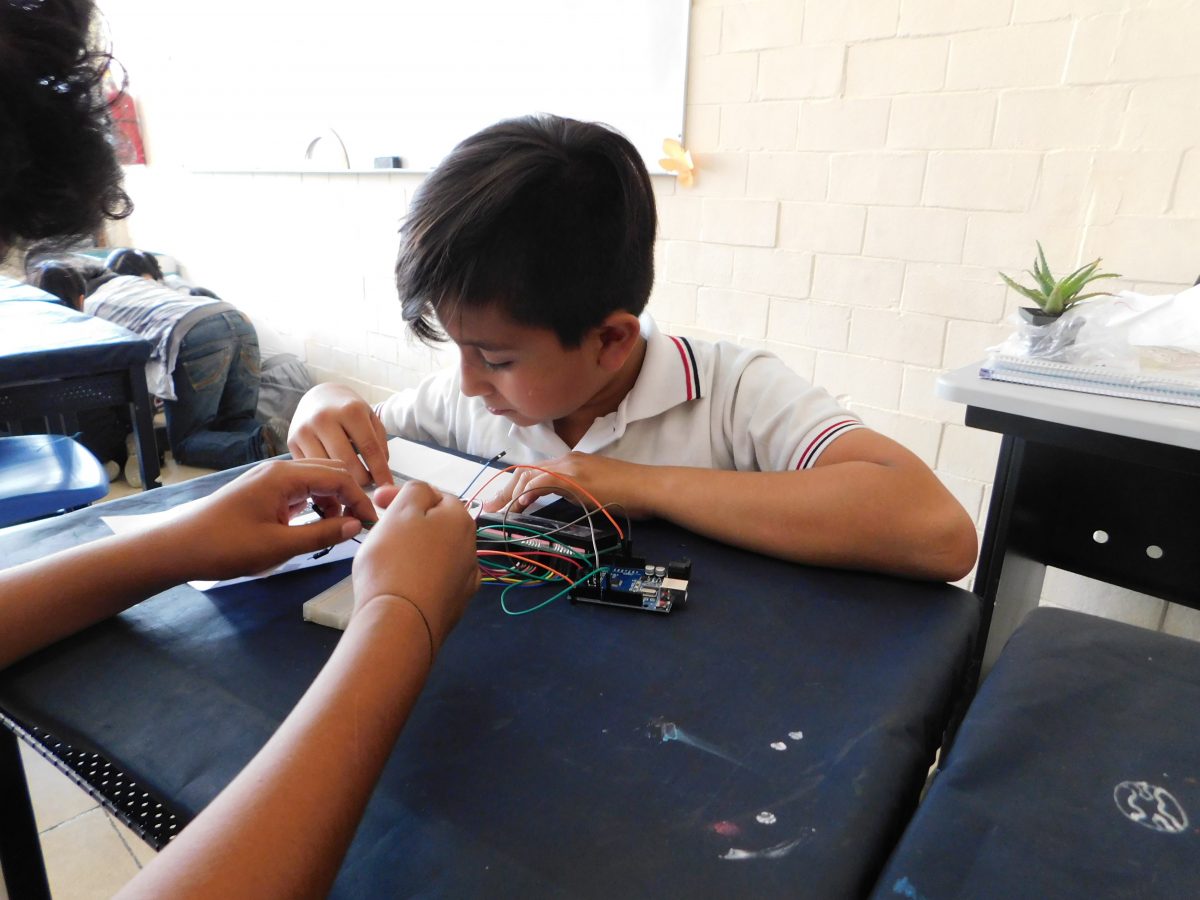 Plantas navegantes en Oaxaca