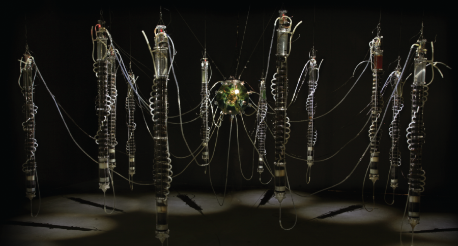 Taller Hidrocomunidades Connecting the Dots