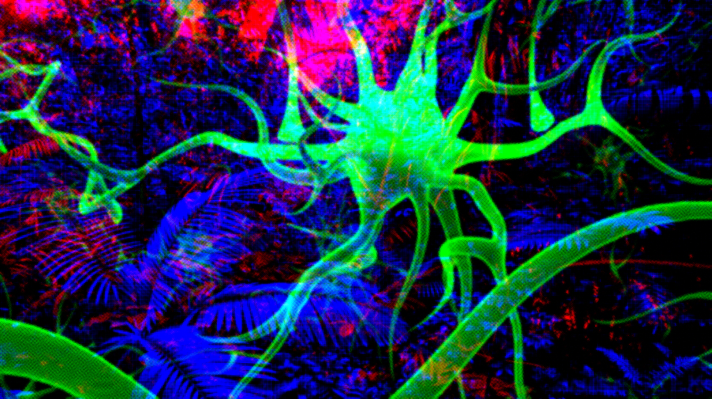 Flash ACT Arte ciencia y tecnologa