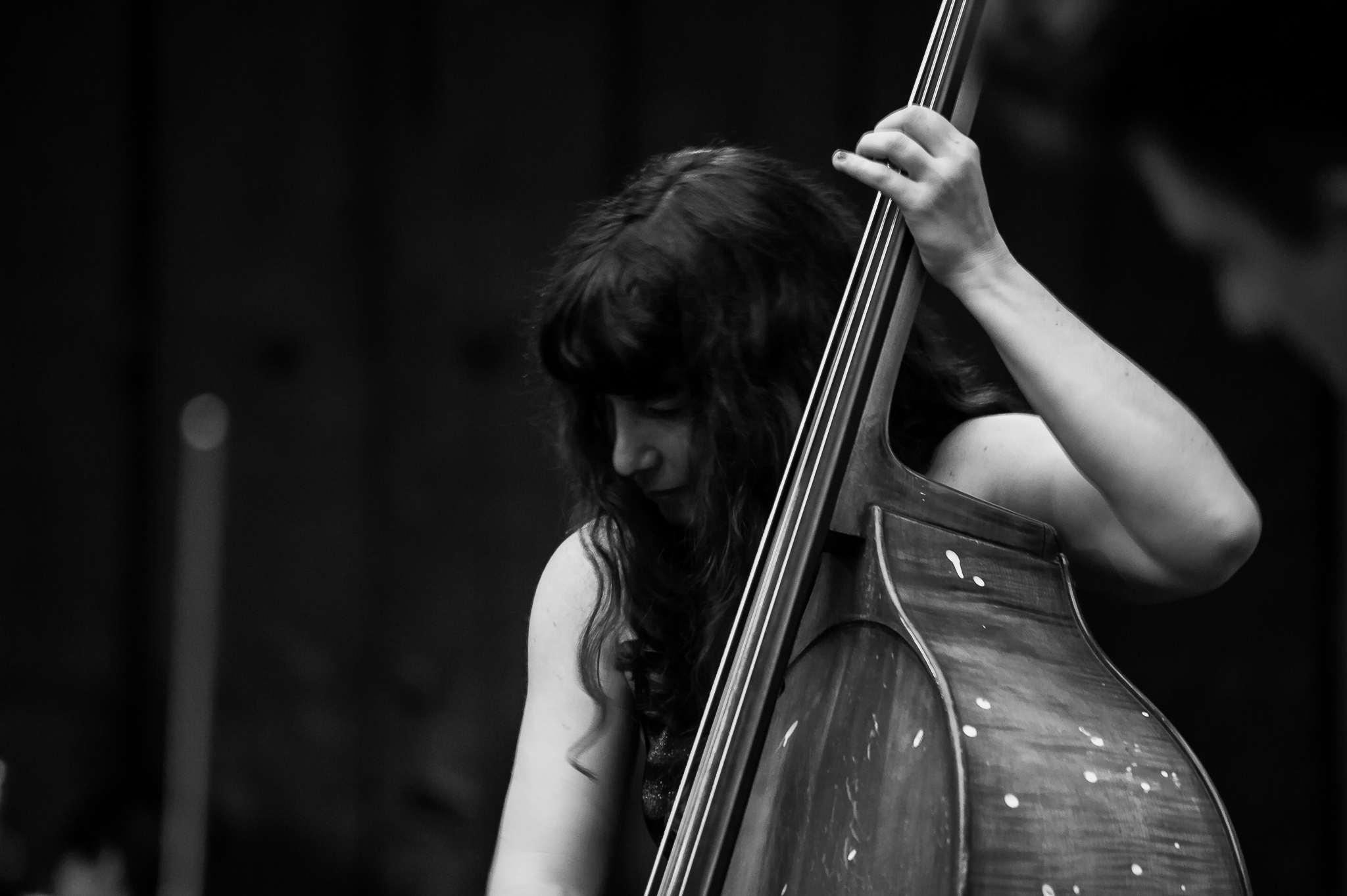 Trnsito Interno03 David Contreras Tro