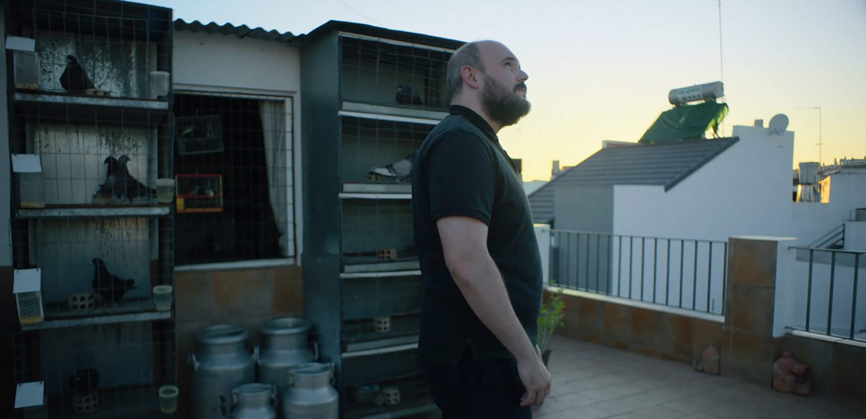 Ciclo Documentales Msica