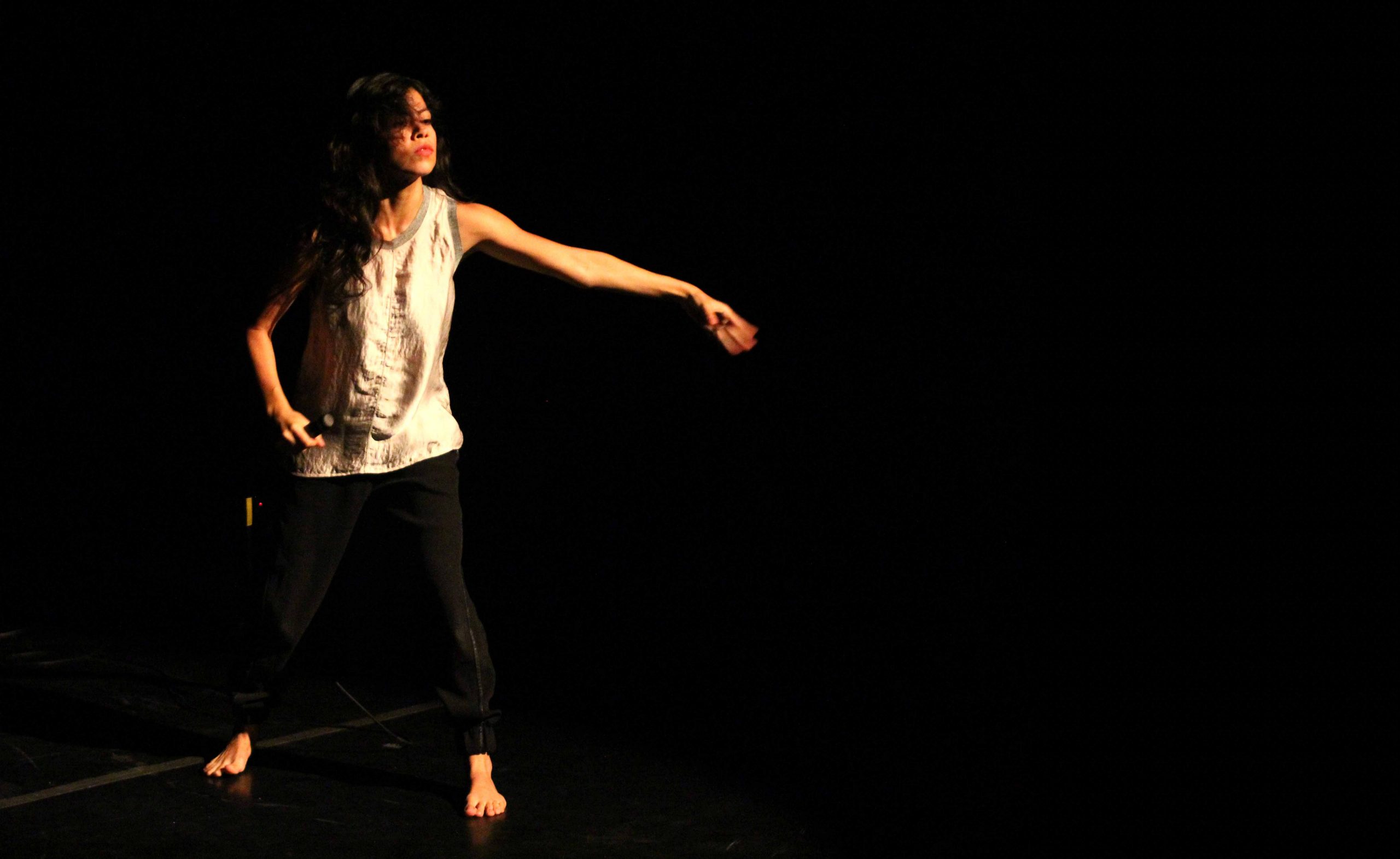 Eco lado B MkinadT Arte en Movimiento Yucatn y Del suelo al techo Pulso Ca Danza Veracruz