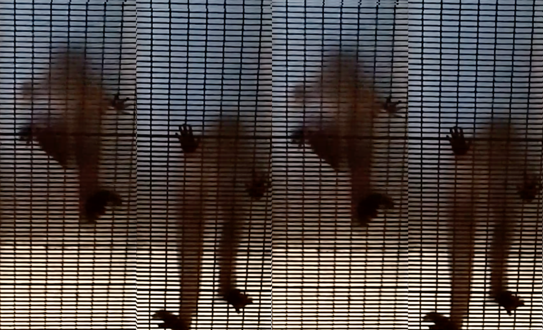 Coalescencia03 En el secreto giramos en la visin nos consumimos