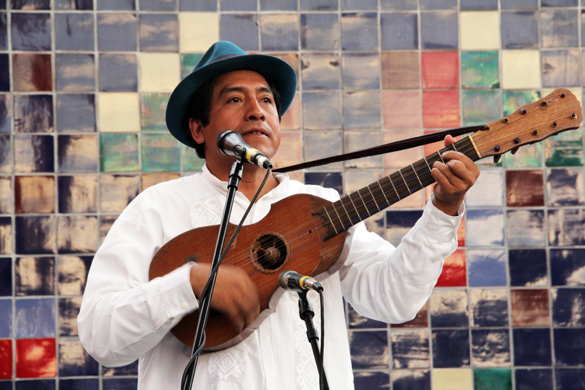 Músico tocando instrumento