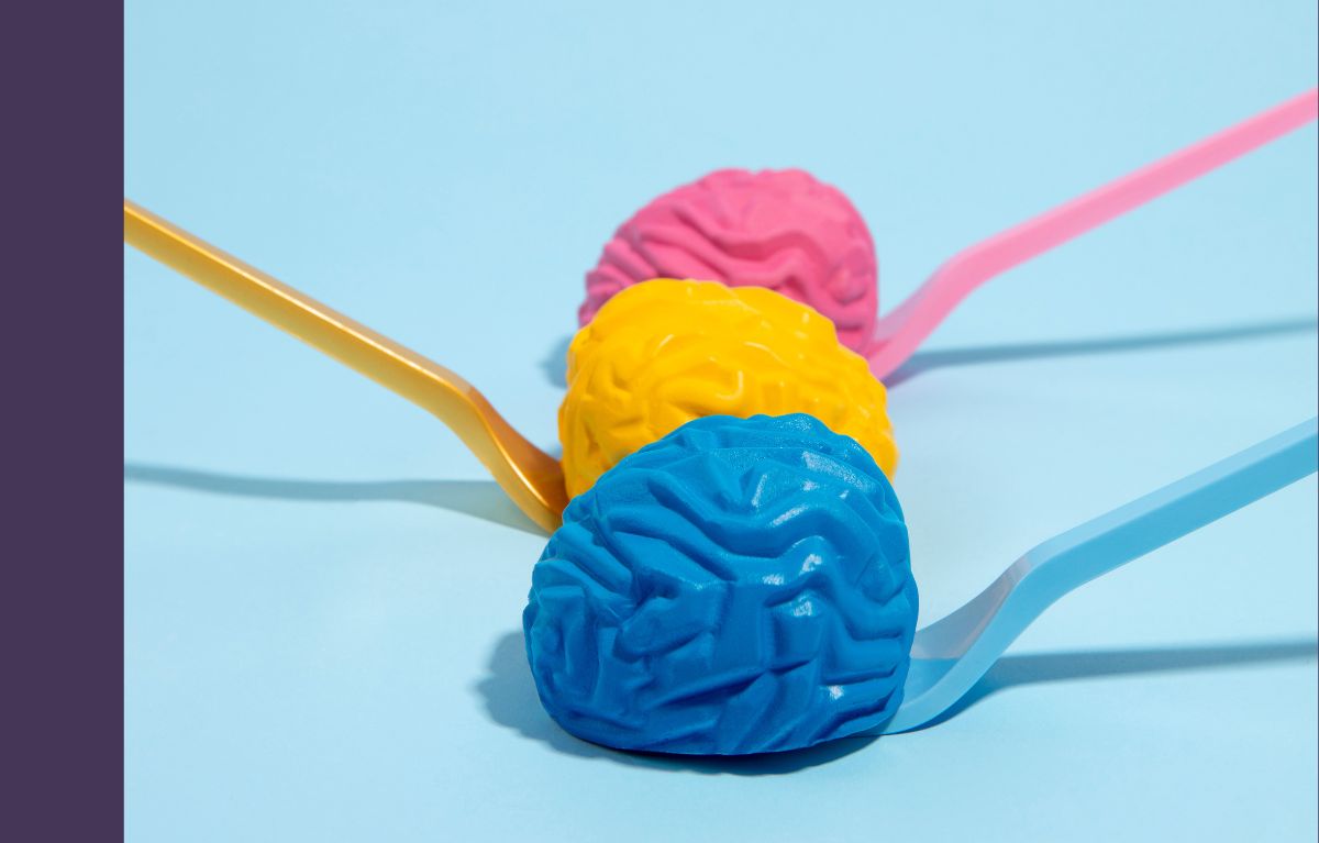 Memoria y plásticos